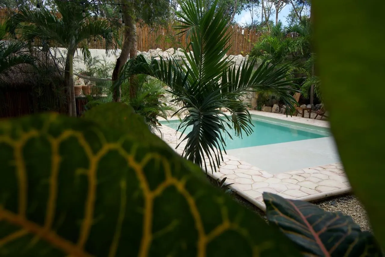 ****  Hotel Aldea San Lam - Oasis Of Tulum Mexiko