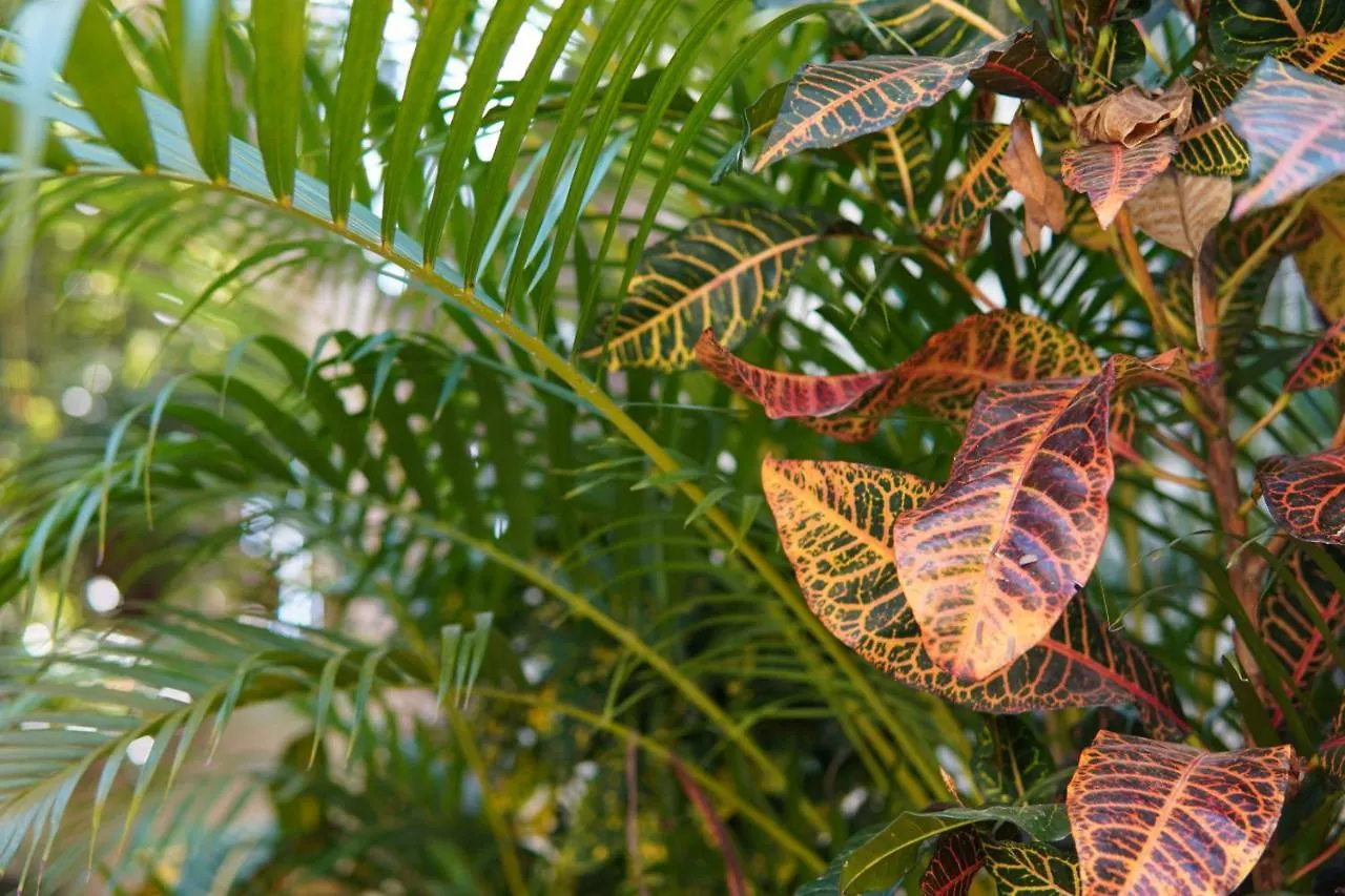 Hotel Aldea San Lam - Oasis Of Tulum